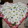 Vidovska nedelja 2010_080